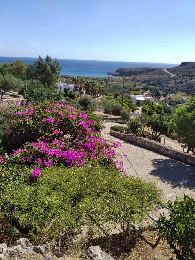 Anthia Apartment Sea View Káto Zákros エクステリア 写真
