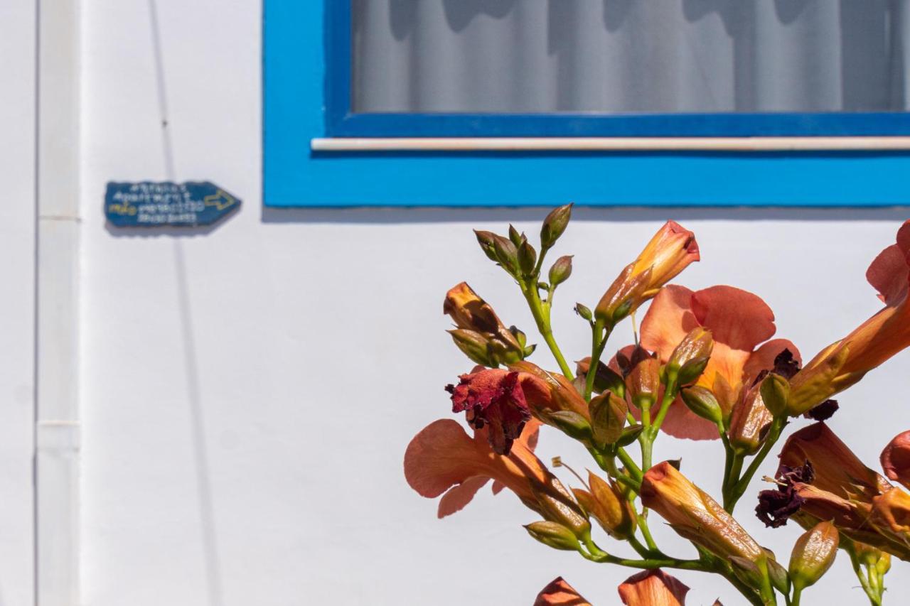 Anthia Apartment Sea View Káto Zákros エクステリア 写真