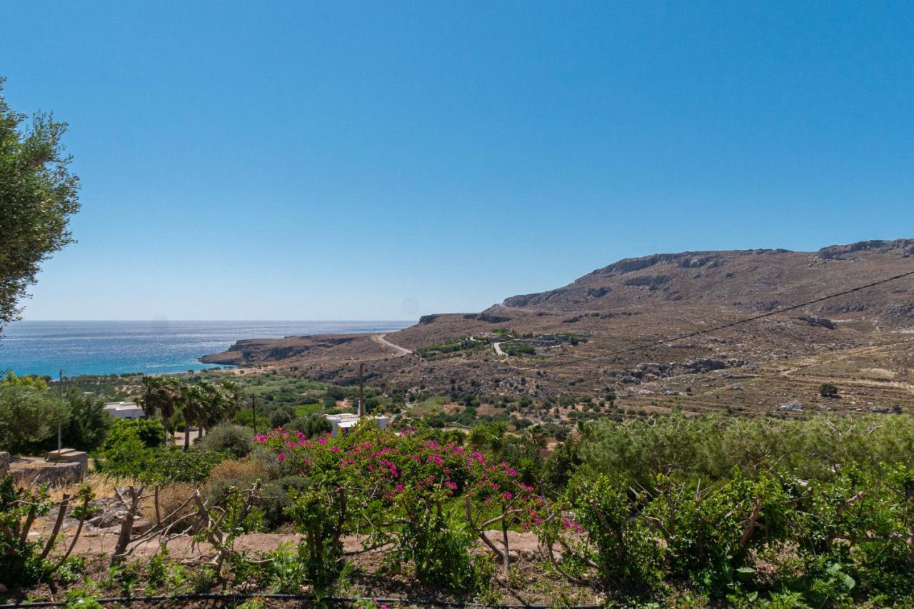 Anthia Apartment Sea View Káto Zákros エクステリア 写真